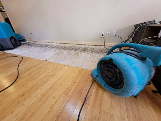 Professional Structural Drying technician working in Cibola, AZ